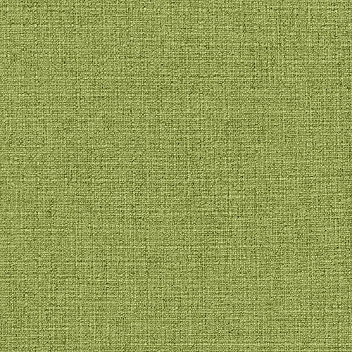 Fern