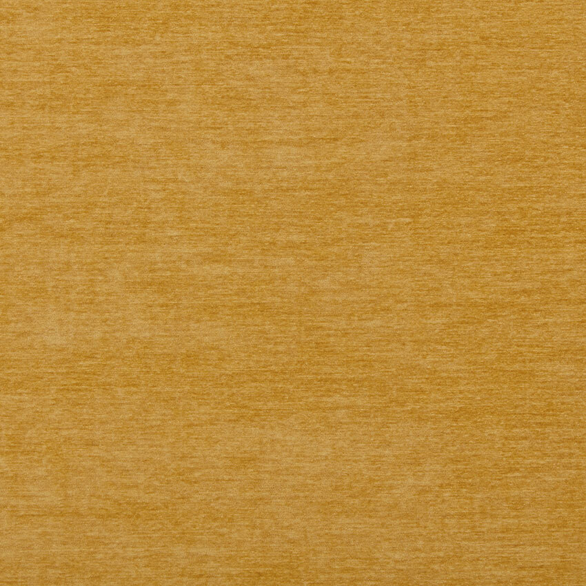 Butternut
