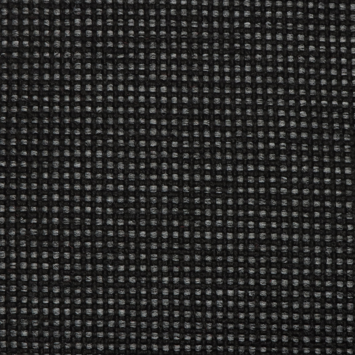 Coal