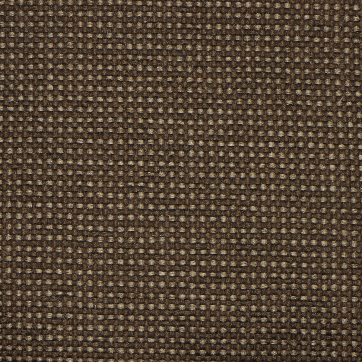 Mocha