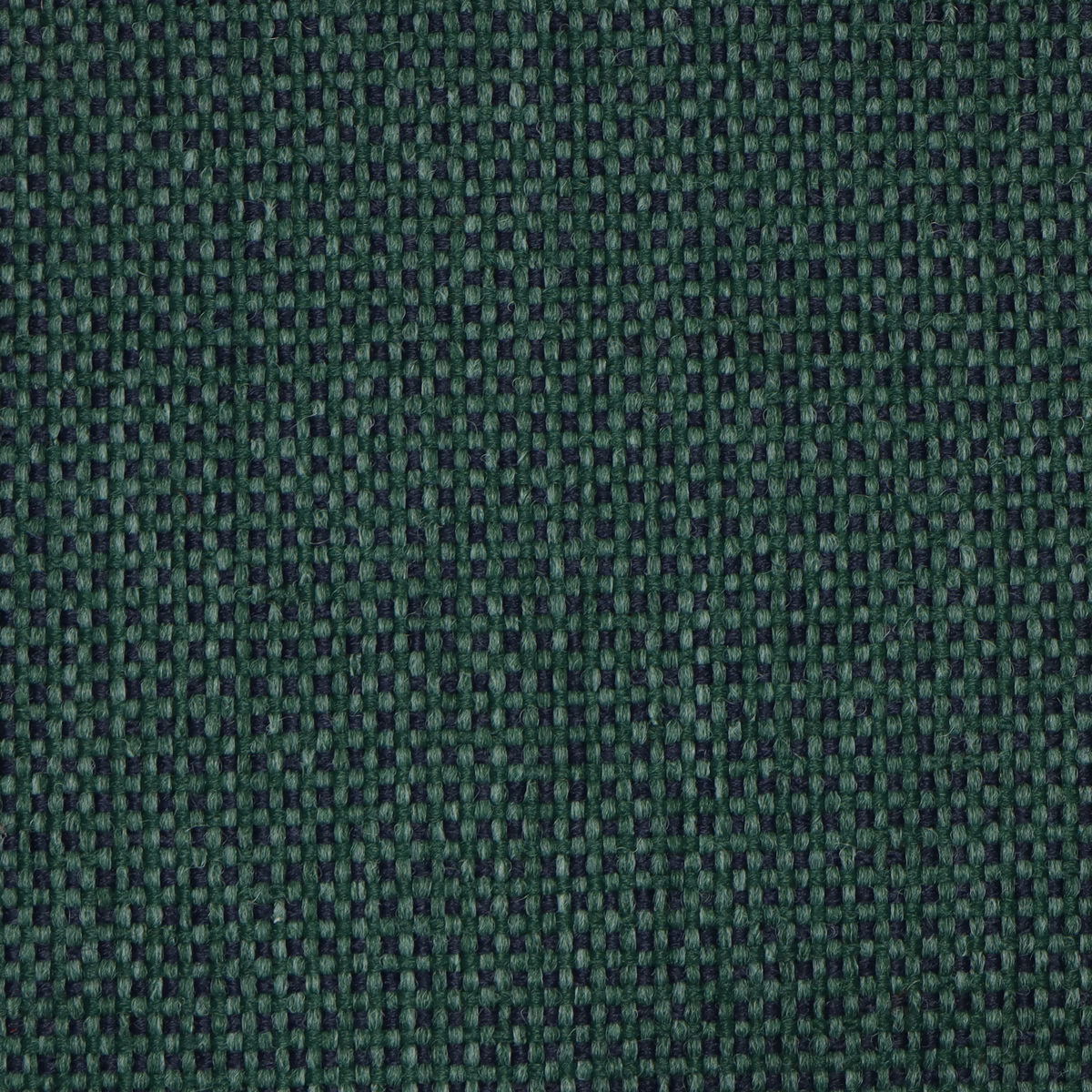 Tarragon