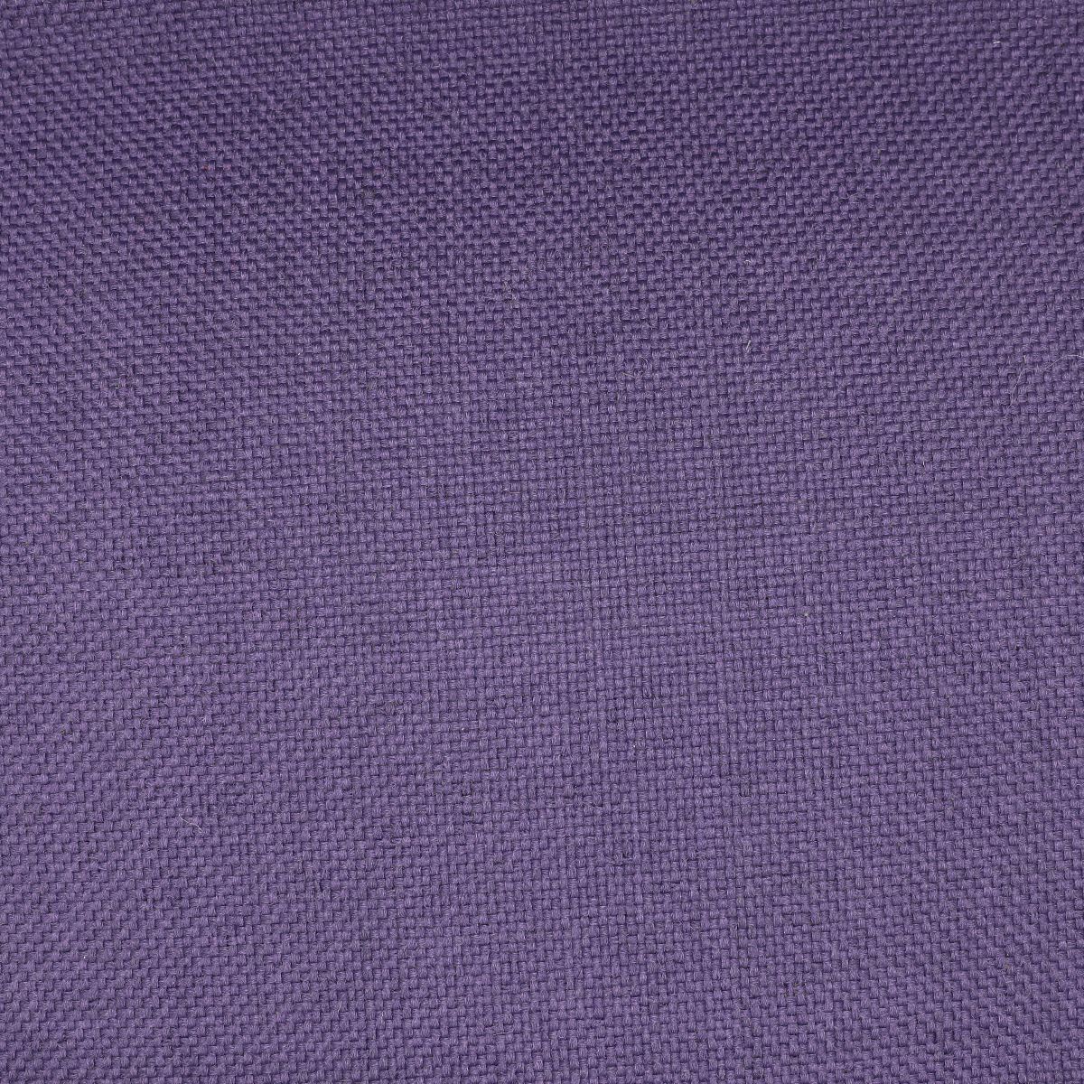 Purple Velvet